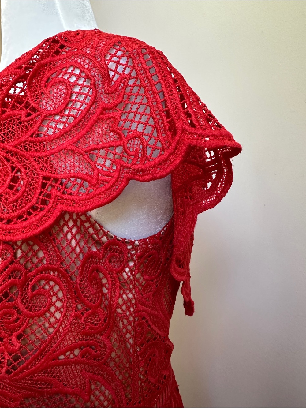 STYLESTALKER Red Lace Overlay Dress - Picture 2 of 14